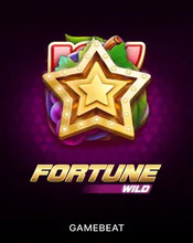 Fortune Wild